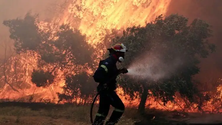 Incendies en Europe : sont-ils liés au changement climatique ?￼