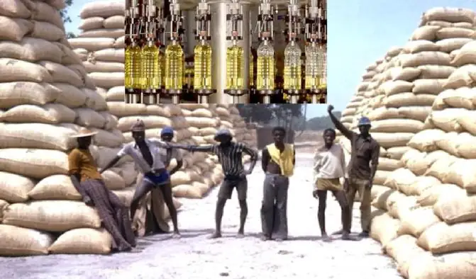 Secteur agroalimentaire et industriel : Grogne des huiliers de Touba