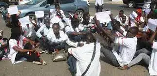 Inseps : 27 étudiants sortants en diète