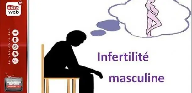 Infertilité masculine : les causes passées à la loupe