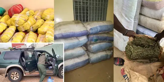 Joal et Saraya :190 kg de »yamba » et de la cocaïne saisis à Joal et à Saraya