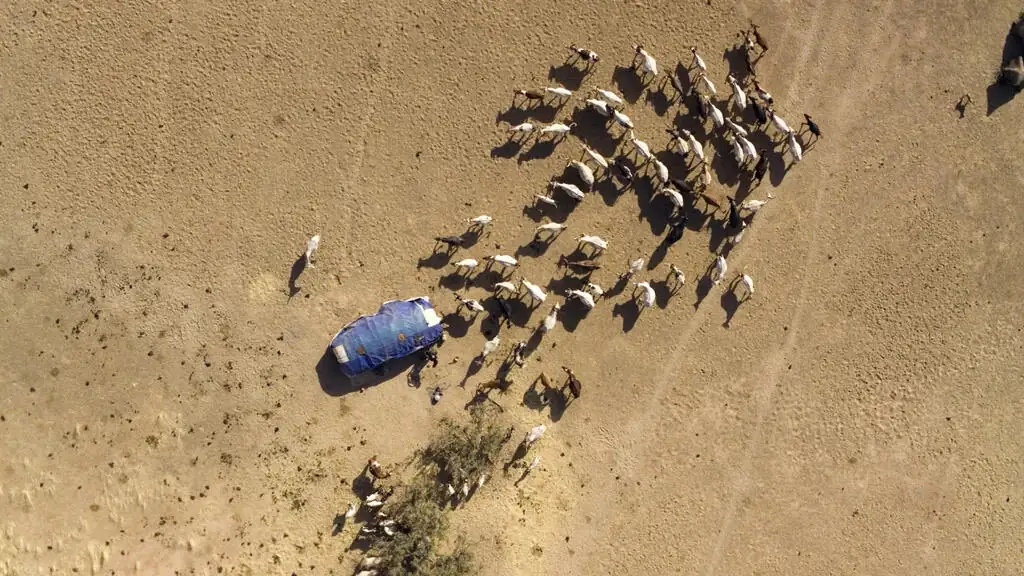 Tchad: RSF s&rsquo;inquiète des arrestations arbitraires de journalistes dans le sud du pays