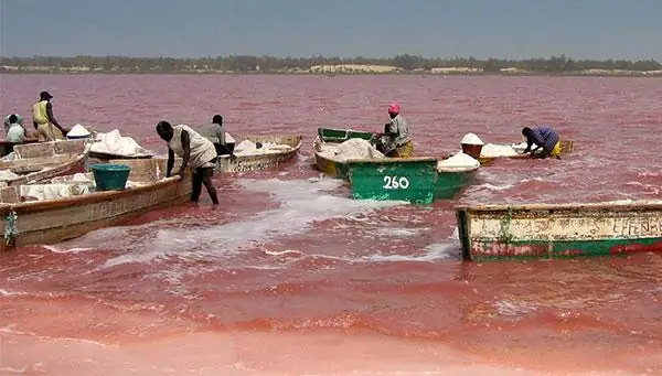 Tivaouane Peul-Niague – Le Lac Rose, exutoire des eaux pluviales : Les exploitants de sel débordent de colère
