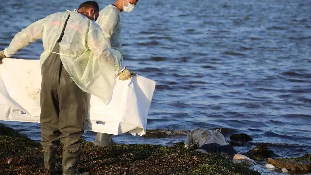 Tunisie: à Zarzis, grève en soutien aux familles des jeunes disparus en mer