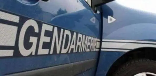Kolda : 4 malfaiteurs arrêtés par la gendarmerie