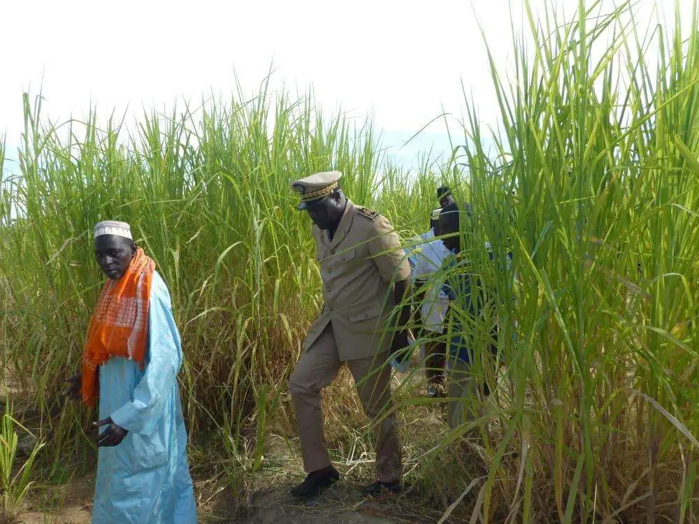 TOURNÉE ÉCONOMIQUE DU PRÉFET DU DÉPARTEMENT DE PODOR