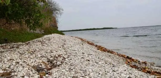 Les richesses de l&rsquo;Aire marine communautaire protégée de Bamboung