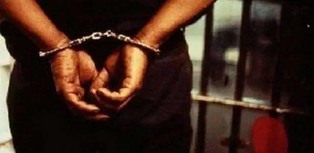 Peacock Investments : L’étonnante déclaration de patrimoine du comptable voleur de 300 millions