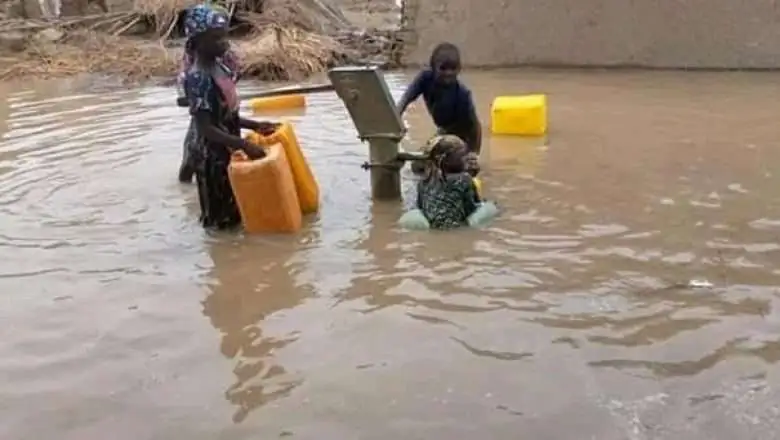 Cameroun-inondations de Yagoua : les Etats-Unis offrent plus de 240 millions de F