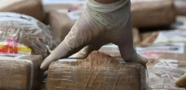 Affaire des 1036 kg de cocaïne saisis au Port de Dakar