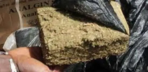 Kaolack : 150 kg de chanvre indien saisis par l&rsquo;OCRTIS