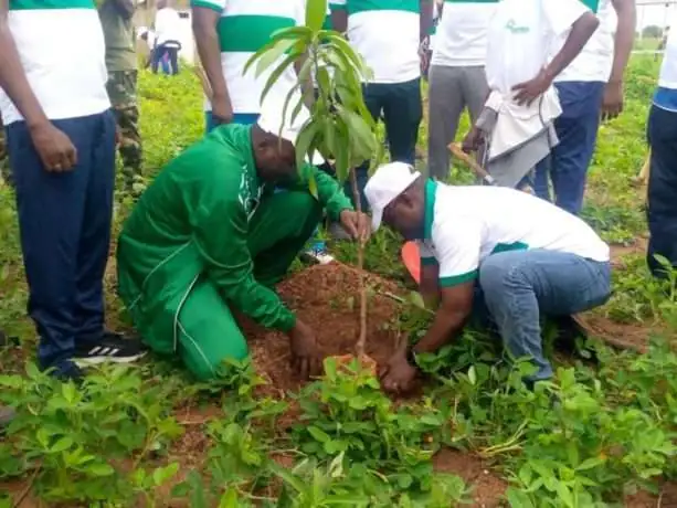 Reboisement : Plus de 1.000 plants mis en terre par la SONABEL à Zagtouli