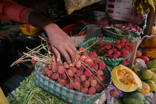 ACCIDENT – Une enfant de 3 ans meurt asphyxiée par un litchi
