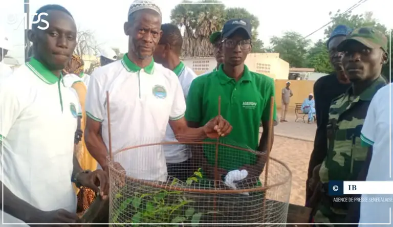 SENEGAL : Lancement du projet  »Podor, ville verte »