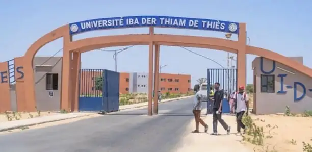 EMPLOI ET ENTREPRENEURIAT DES ÉTUDIANTS DE L&rsquo;UIDT-THIES : La Stratégie des 10 pôles de services lancée