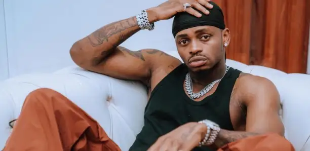 Diamond Platnumz : Cette somme folle qu’il a dépensée pour un clip vidéo
