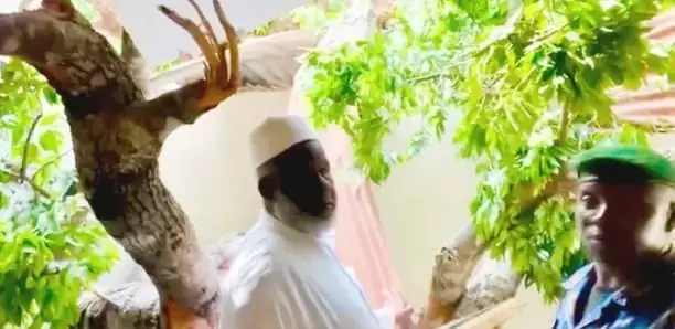 Insolite en Guinée : Un baobab centenaire s’effondre subitement sur la maison d’un grand imam