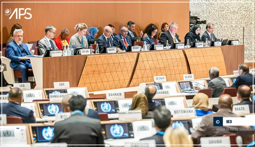 Assemblée mondiale de la santé : adoption des amendements du Règlement sanitaire international (officiel)