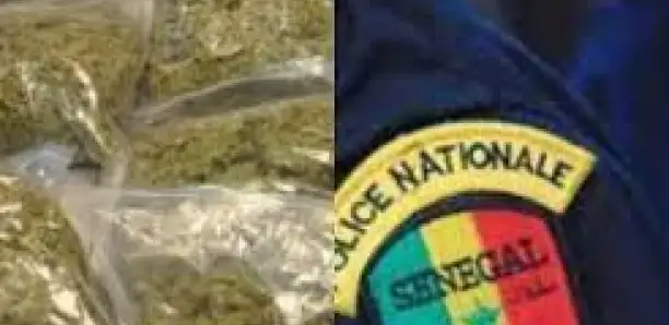 Wakhinane Nimzatt : Un marchand dissimulait la drogue dans ses parfums