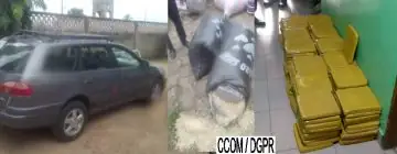 121 plaquettes de chanvre indien saisies à Diho