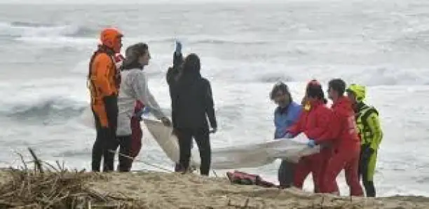 Emigration : Des Sénégalais retrouvés morts à bord d&rsquo;une embarcation en République Dominicaine