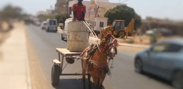 Sicap Mbao : un cheval en furie tue une fillette de 4 ans
