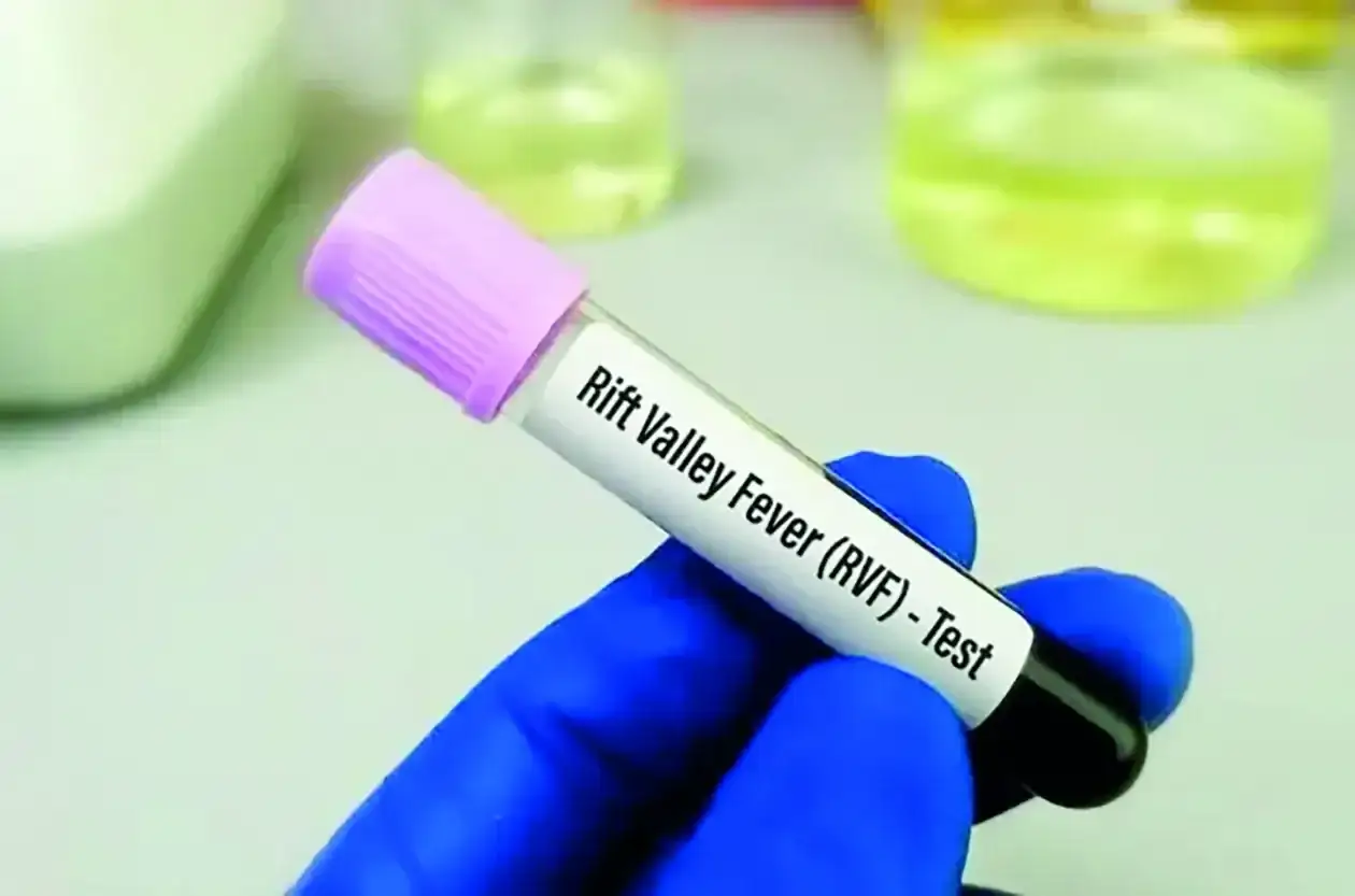 Fièvre de la Vallée du Rift: des études en cours pour mieux comprendre la maladie