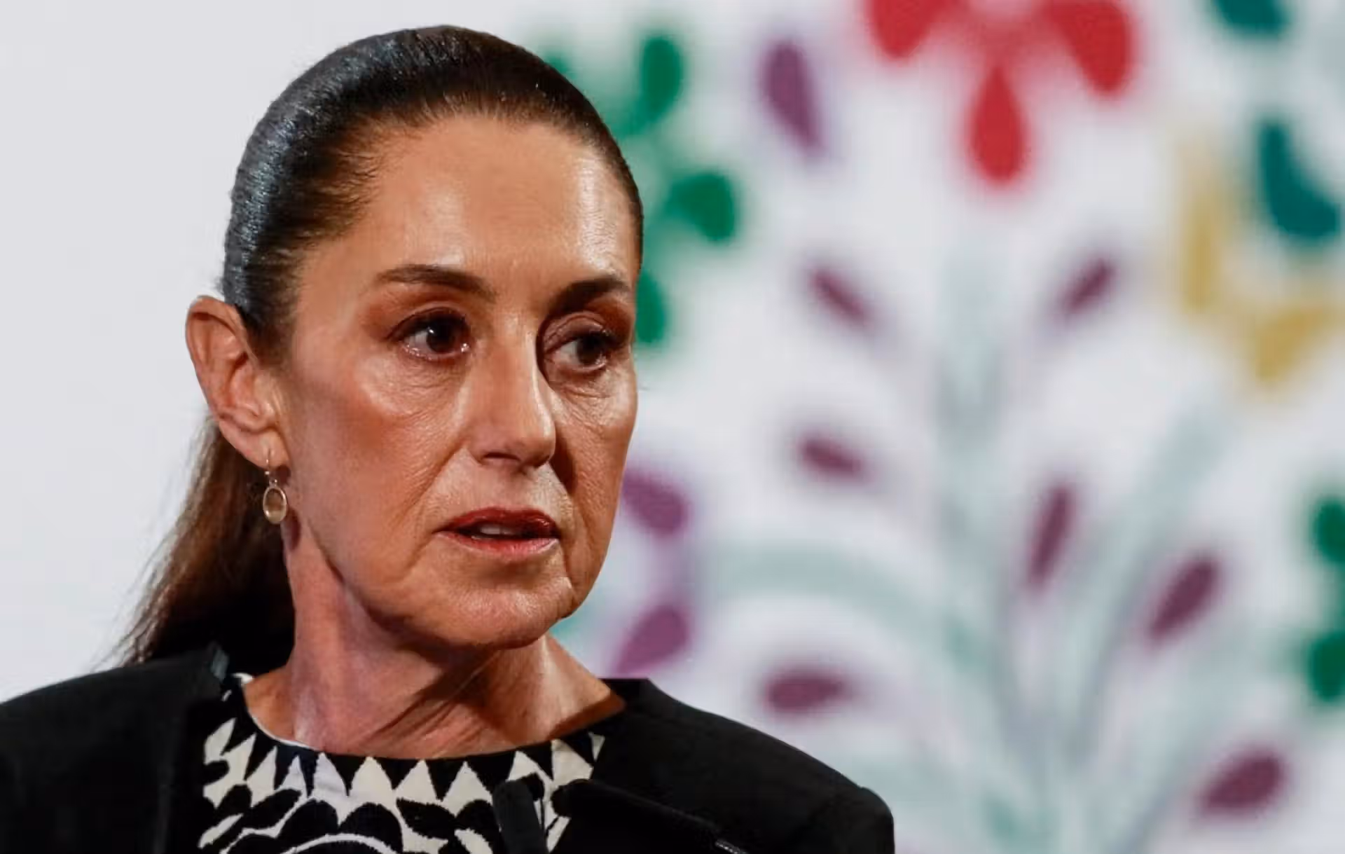 Mexique : La Présidente Claudia Sheinbaum Agressée Sexuellement Lors D'un Déplacement, Un Homme Inte