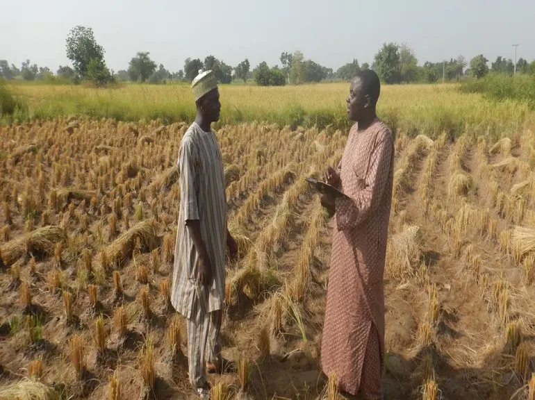 Comment AgData Hub transforme l’agriculture intelligente face au climat au Sénégal