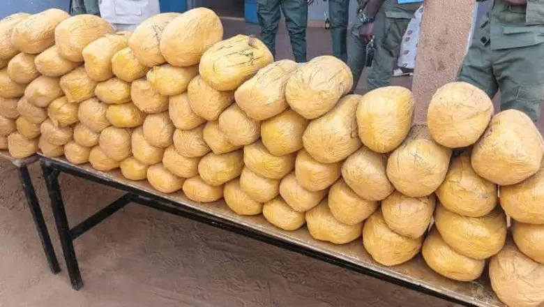 Kollo/Niger : Plus de 162 kg de drogue interceptés
