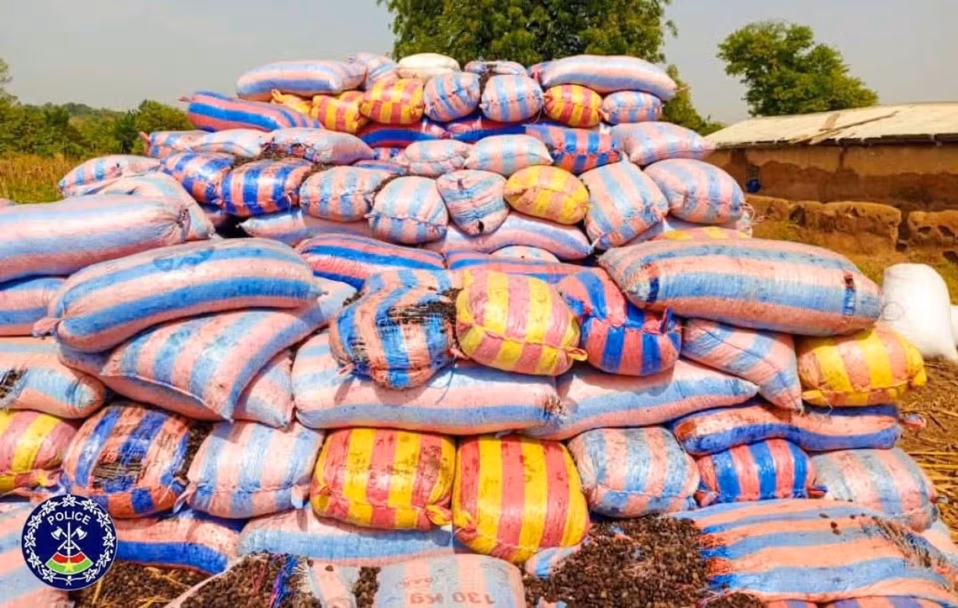 Burkina Faso : Le Gouvernement Annonce La Vente Des Amandes De Karité Saisies
