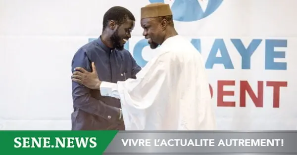 Sénégal : El Malick Ndiaye met fin aux spéculations sur la brouille Sonko–Diomaye