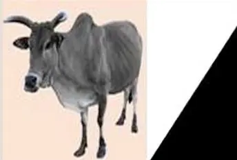 Evenements de Haayre Golleere | l&rsquo;AJD/MR exprime sa plus vive préoccupation et sa profonde indignation