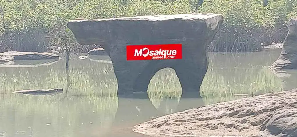 Farenghia : sur les traces de Niara Bely, entre mémoire de la traite et secrets oubliés